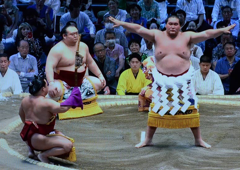 大相撲名古屋場所 化粧まわし